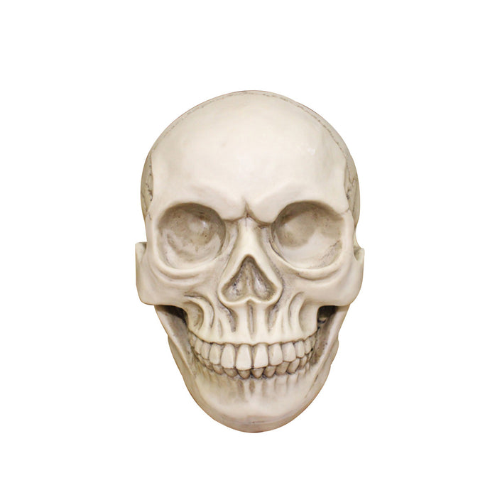 Life-Size Human Skull Halloween Props Anatomical Model Medical Anatomical Head Bone Skull Bone Model